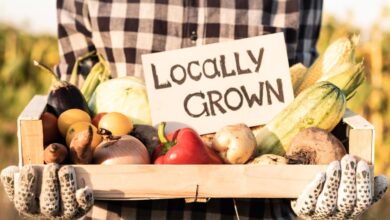 Organic produce versus local whats healthier