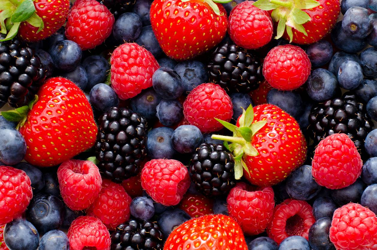 Everything you need to know about berries