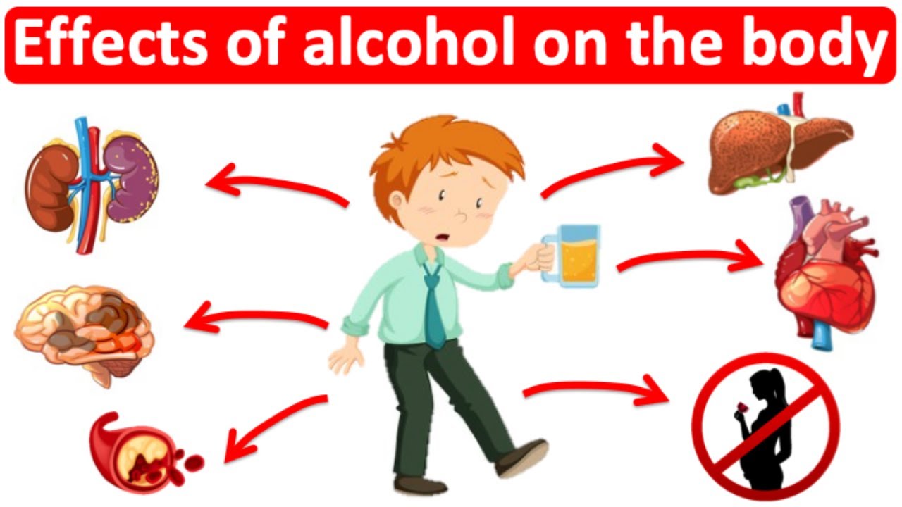 What happens when you drink alcohol latest science