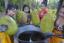 Heck jackfruit look inside funky fruit