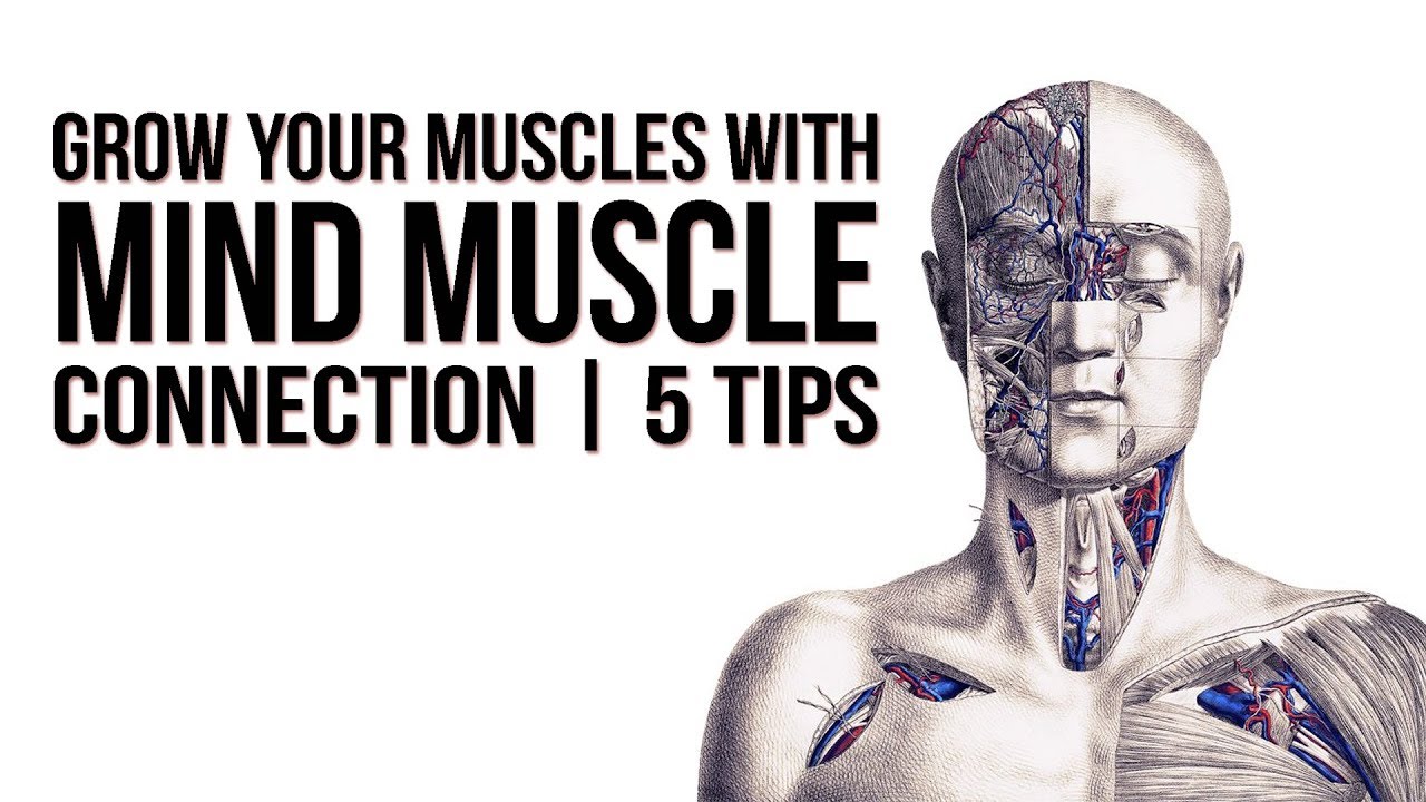 Everything you need to know about the mind muscle connection