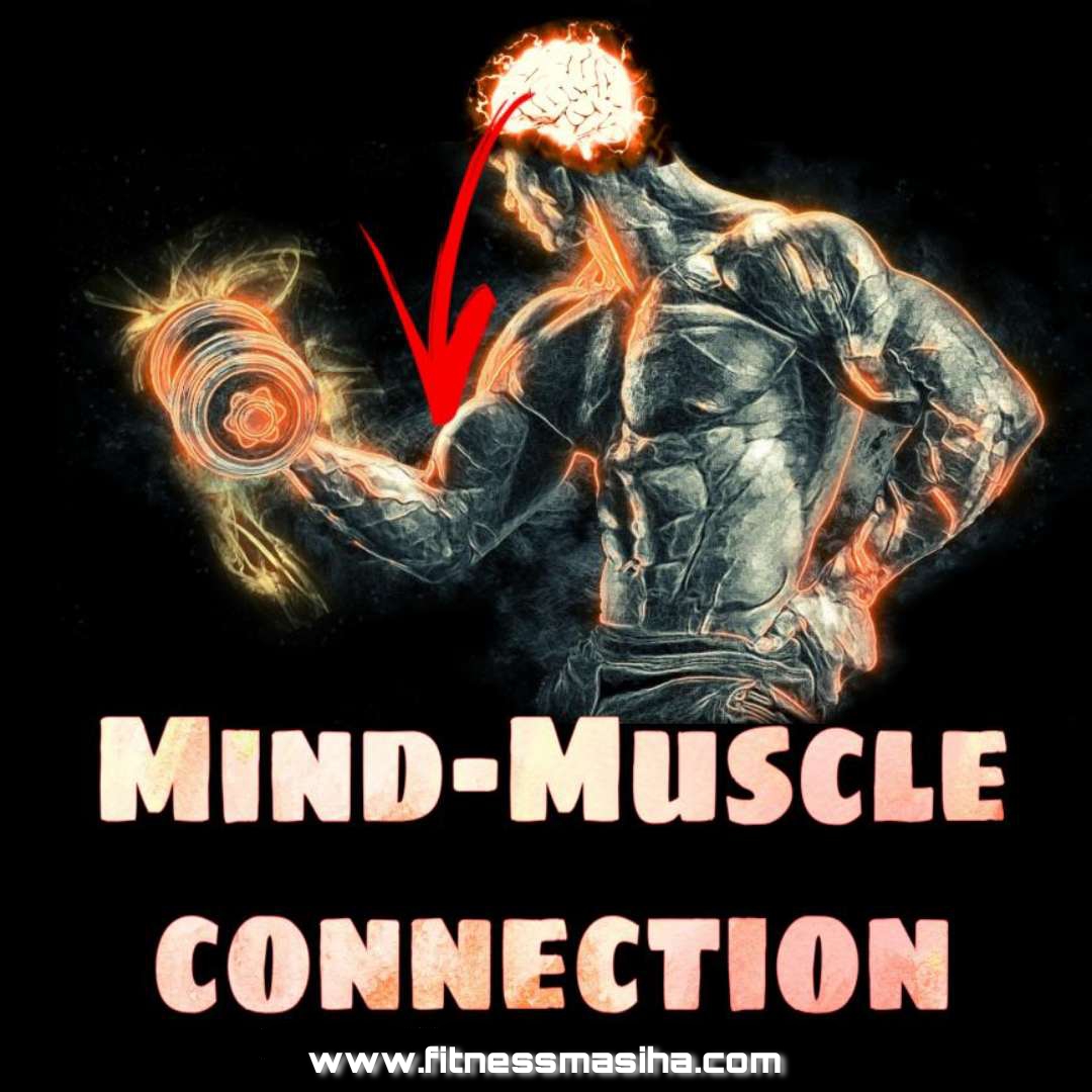 Everything you need to know about the mind muscle connection