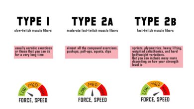 Everything you need to know about muscle fiber types