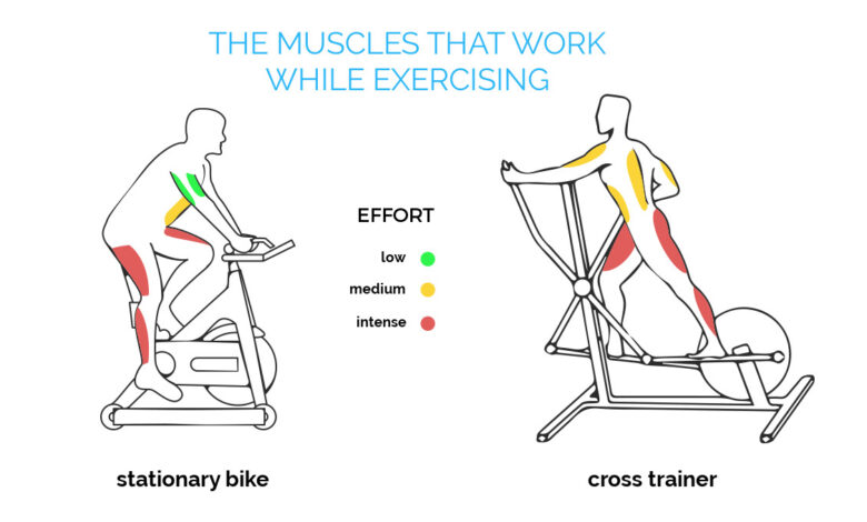 Walking running or biking which is best for weight loss