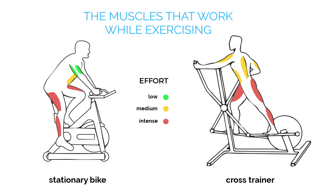 Walking running or biking which is best for weight loss