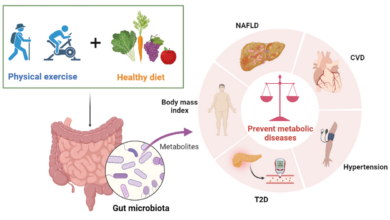 Inflammation basics and the role of diet and exercise