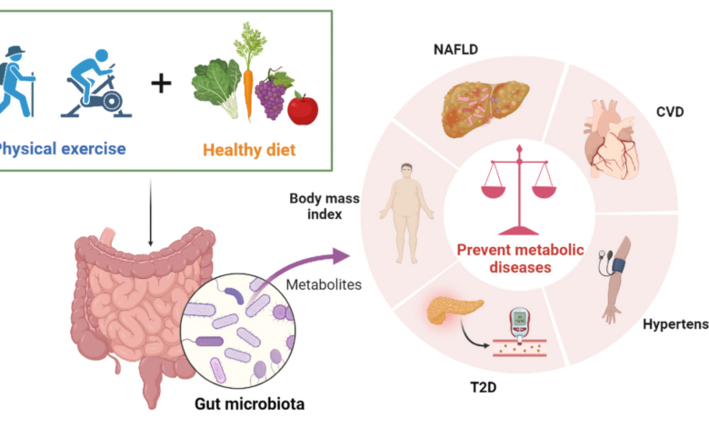 Inflammation basics and the role of diet and exercise