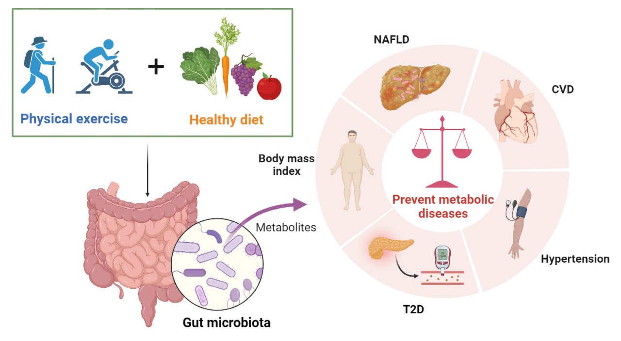 Inflammation basics and the role of diet and exercise