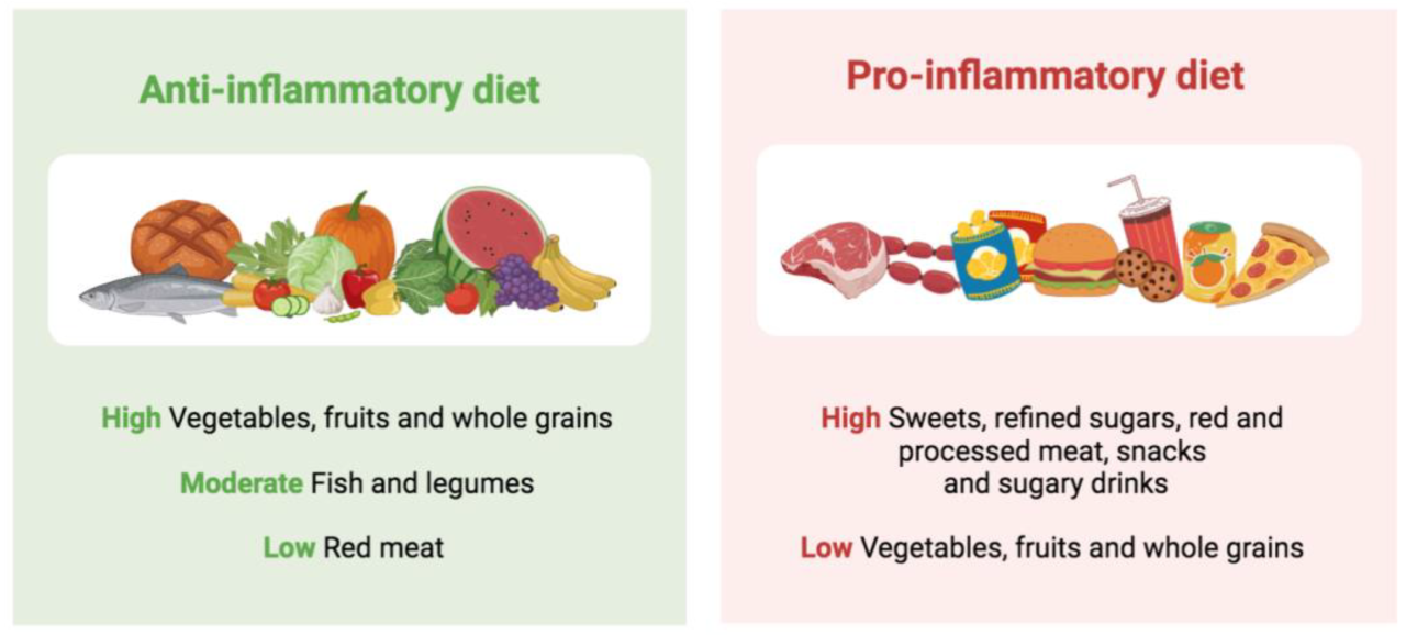 Inflammation basics and the role of diet and exercise