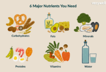 4 essential nutrients youre probably missing