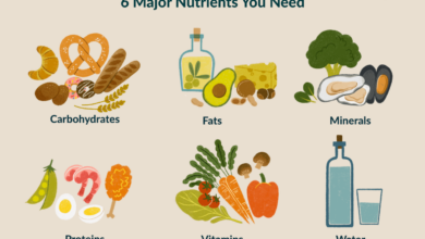 4 essential nutrients youre probably missing