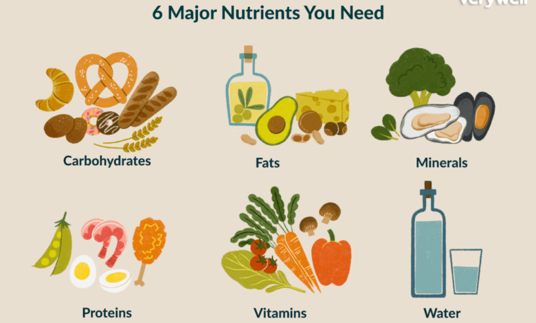 4 essential nutrients youre probably missing