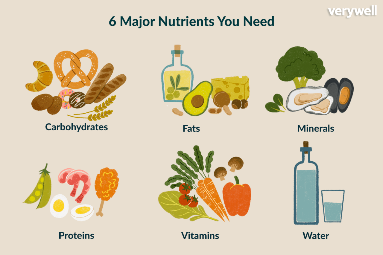 4 essential nutrients youre probably missing