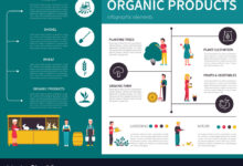 Buy organic skip infographic