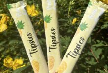 5 ingredient pina colada pops