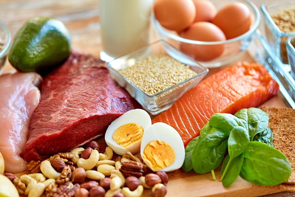 High protein diet plan