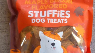 8 rd approved pumpkin flavored snacks to buy at trader joes