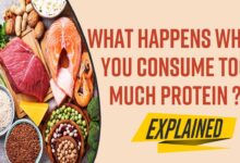 What happens to your body on protein