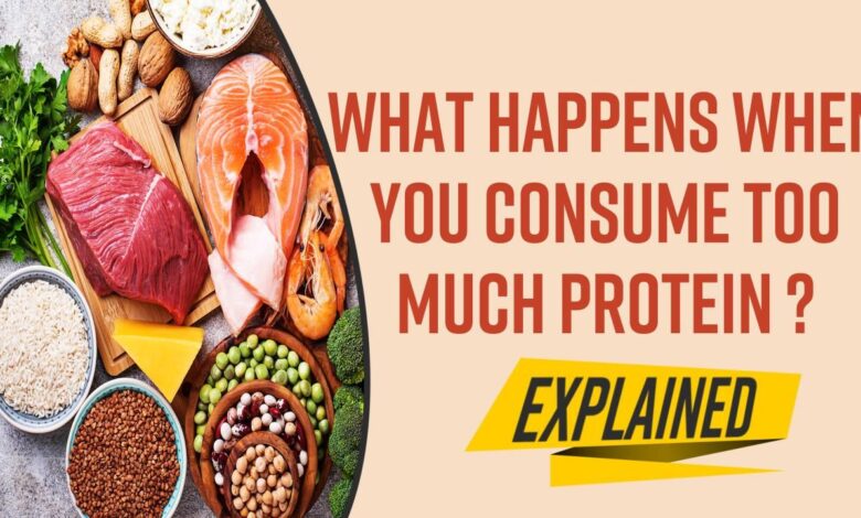 What happens to your body on protein