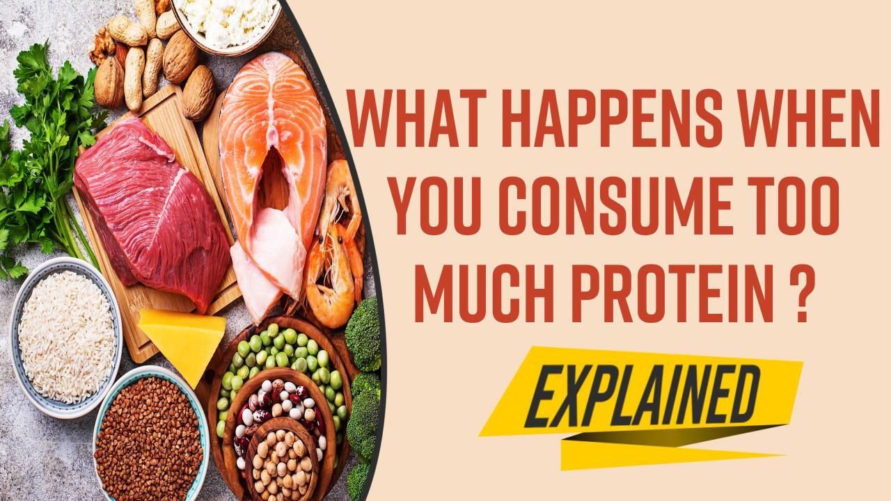 What happens to your body on protein