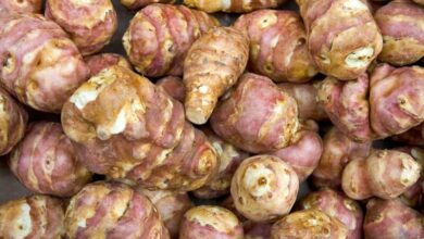 7 weird root vegetables youll love