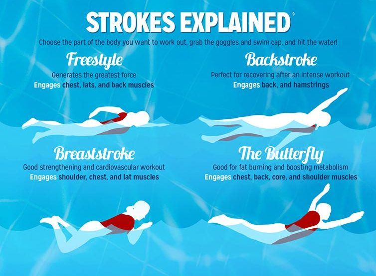 4 basic swimming strokes to know