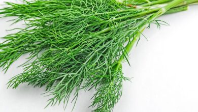 Is dill a super herb