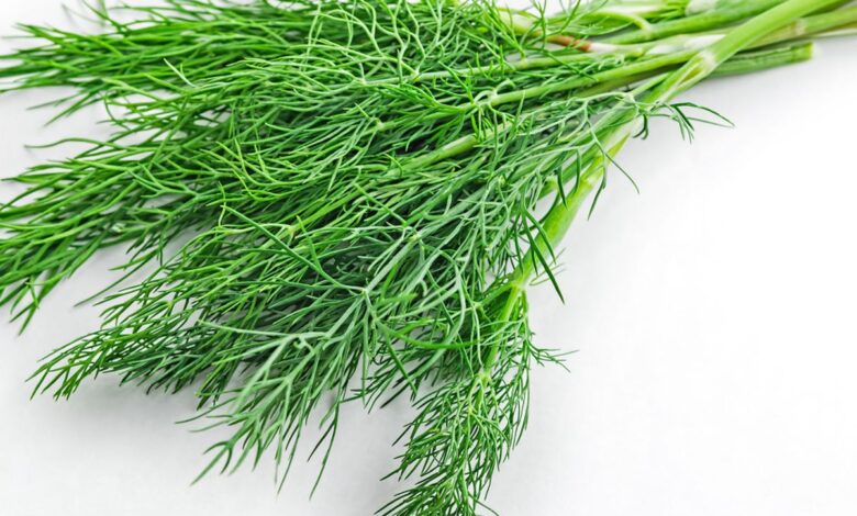 Is dill a super herb