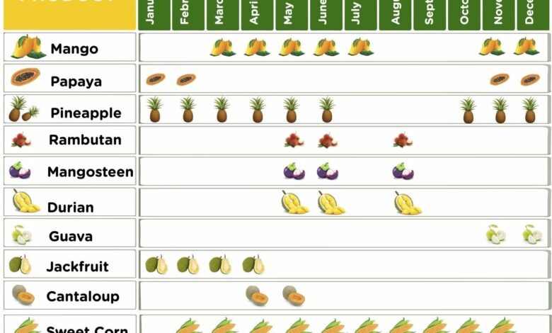 Fruits and veggies to eat at their seasonal peak right now