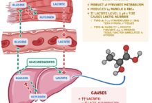 Muscles shake exercise during why exercising while do