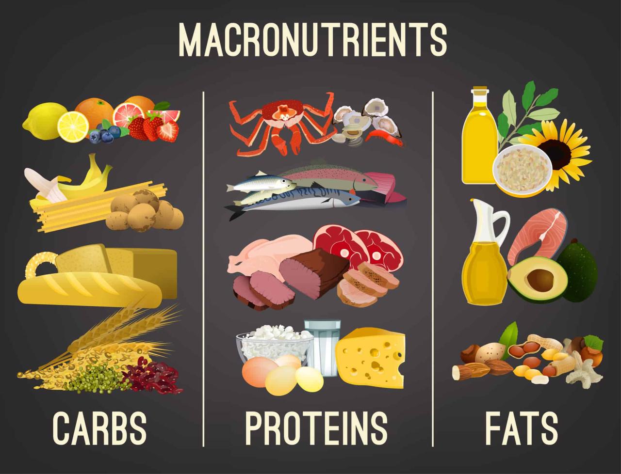 Ask the dietitian whats the best carb protein and fat breakdown for weight loss