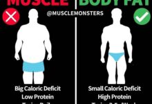 How to know if youre losing fat or muscle