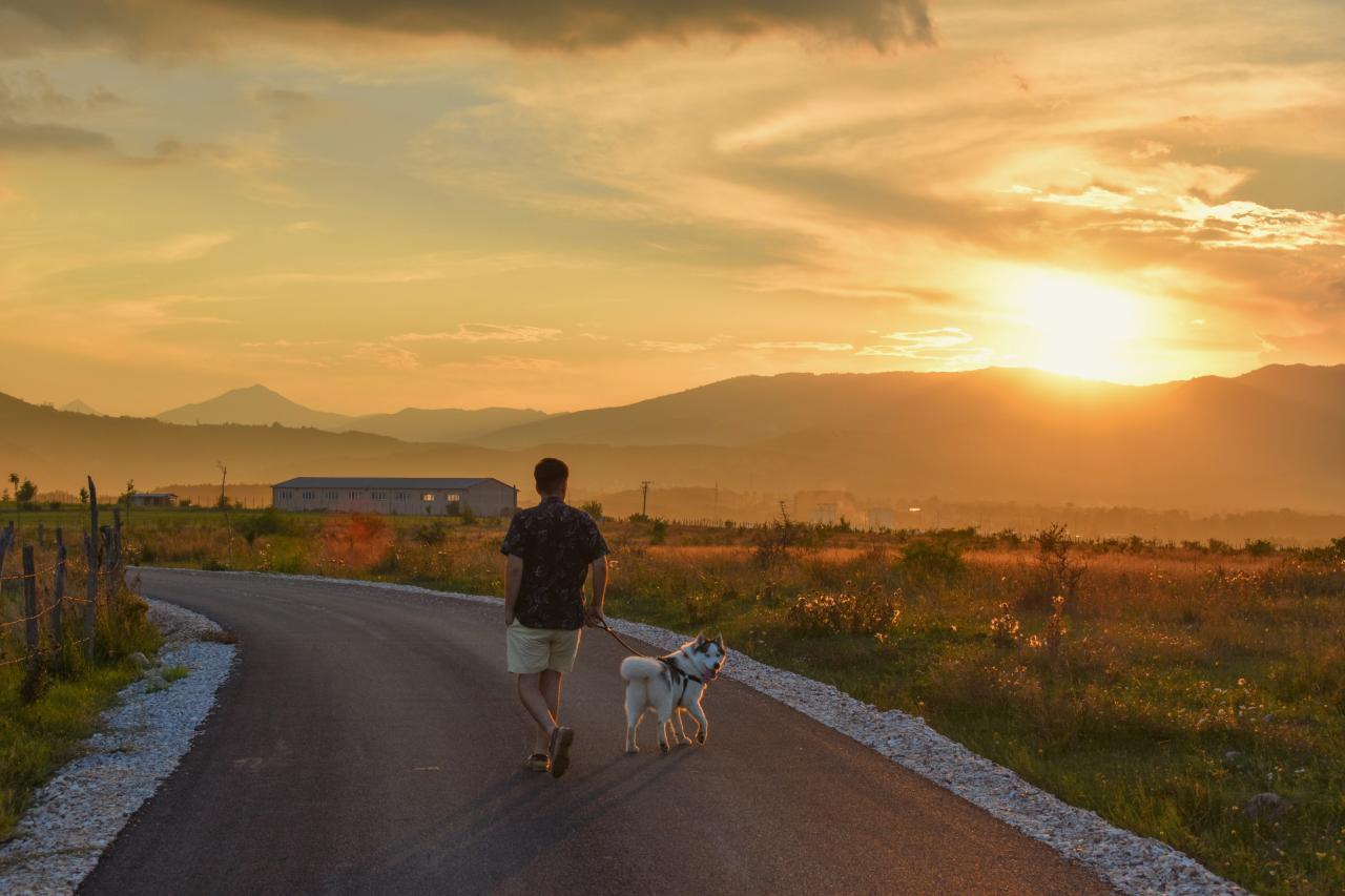 So you want to start running with your dog