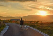 So you want to start running with your dog