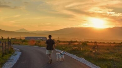 So you want to start running with your dog