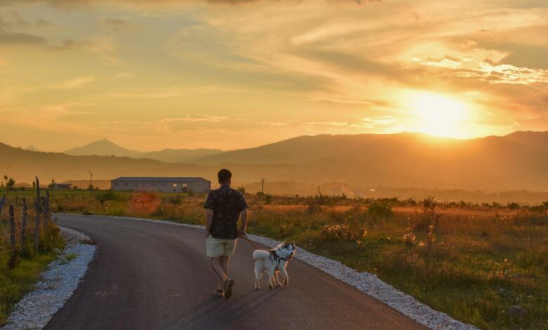 So you want to start running with your dog