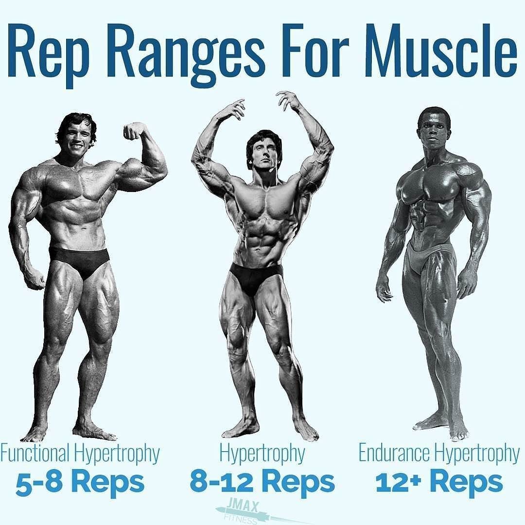 High weight reps low loss training updated april last