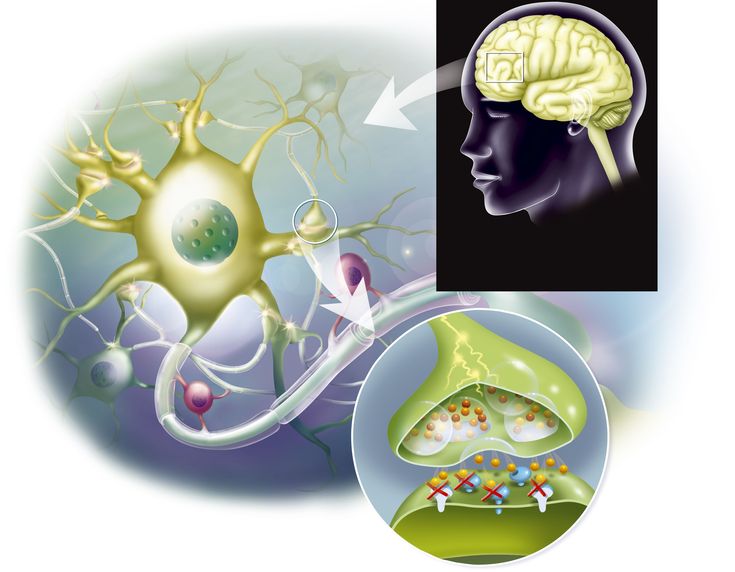 How serotonin helps regulate mood and appetite