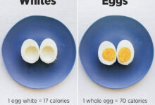 9 baked egg dishes 315 calories